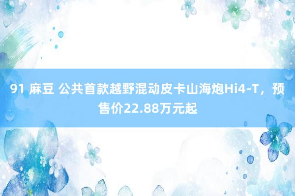 91 麻豆 公共首款越野混动皮卡山海炮Hi4-T，预售价22.88万元起