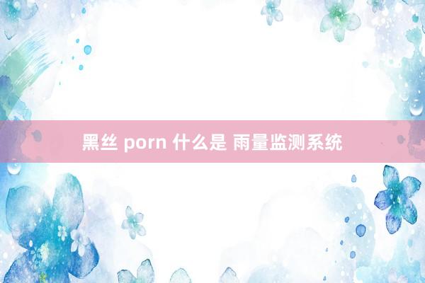 黑丝 porn 什么是 雨量监测系统