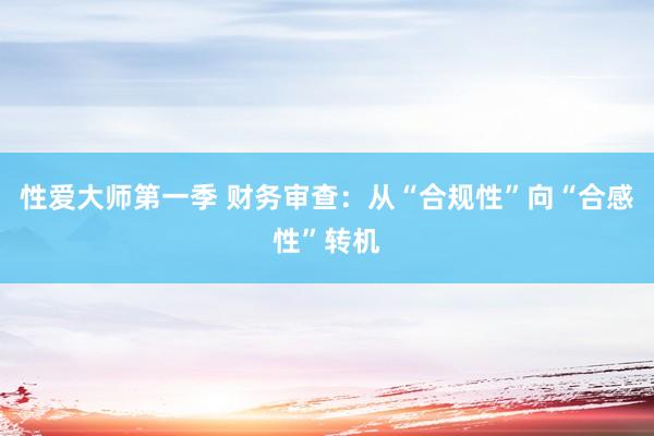 性爱大师第一季 财务审查：从“合规性”向“合感性”转机