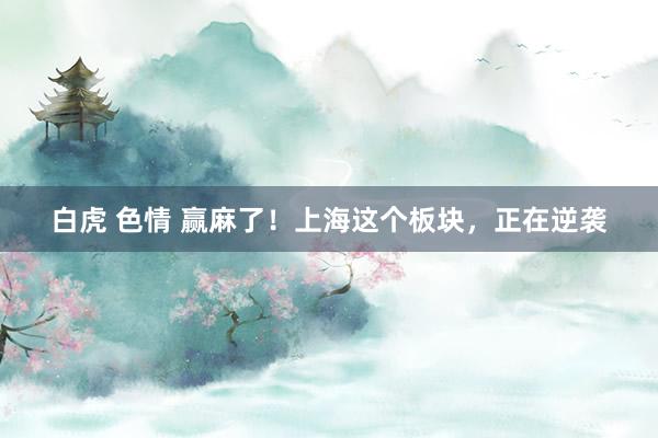 白虎 色情 赢麻了！上海这个板块，正在逆袭