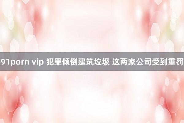 91porn vip 犯罪倾倒建筑垃圾 这两家公司受到重罚