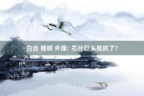 白丝 捆绑 外媒: 芯片巨头抵抗了?