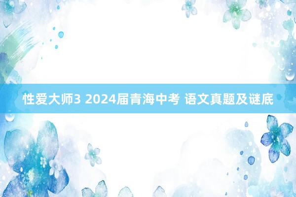 性爱大师3 2024届青海中考 语文真题及谜底